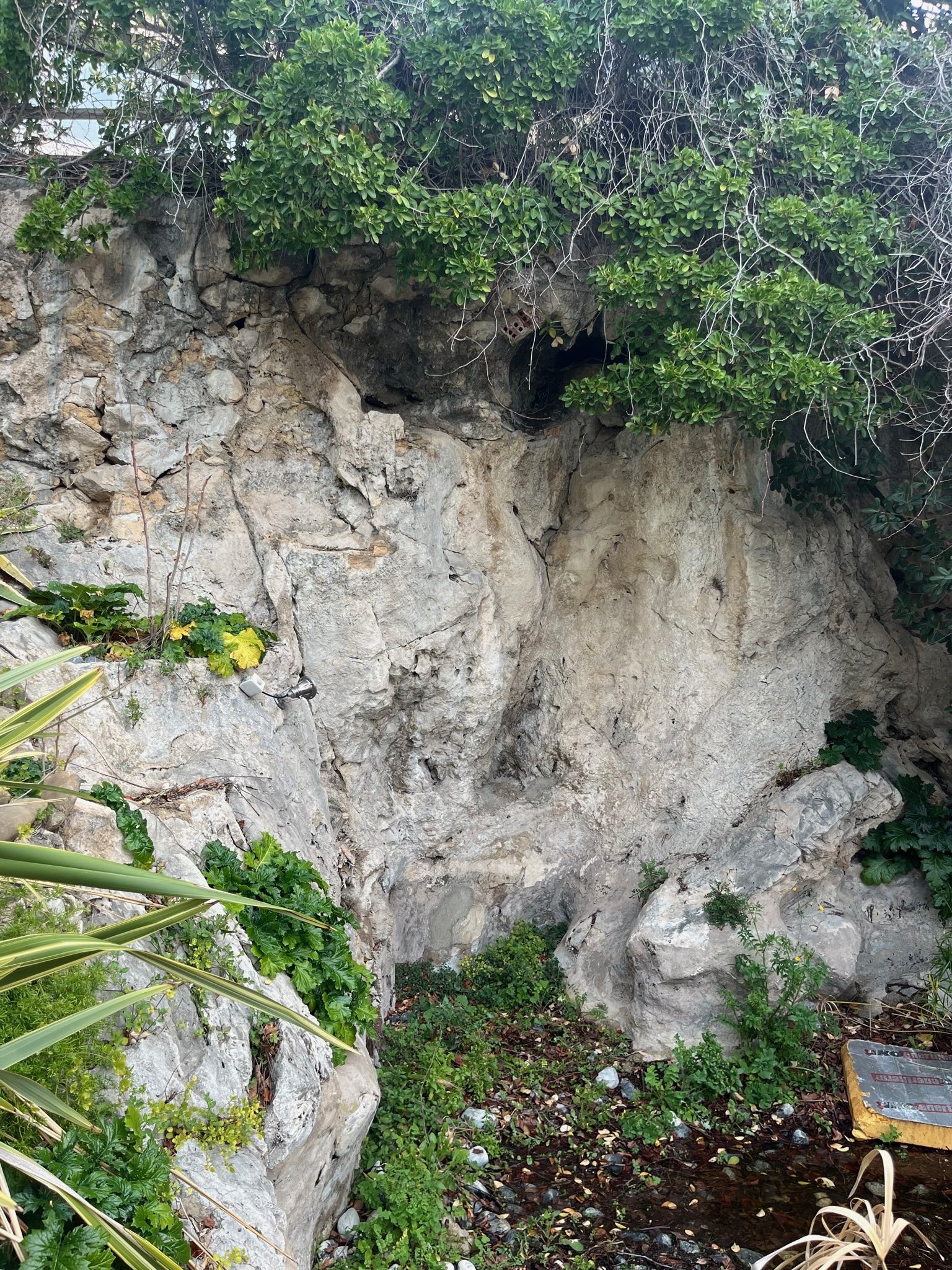 Chantier Roucas - Photo 93